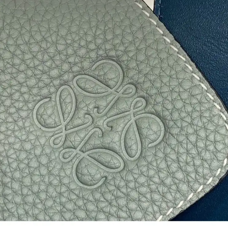Brother Sam 20DJ570184 Loewe Bags 0519